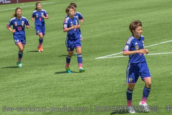 2026世界杯竞猜评测:平台玩法与活动的对比分析