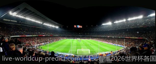 一文看懂2026世界杯各国球队比分,助你轻松分析!