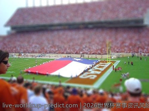2026世界杯赛事资讯风险管理，教你如何合理分配资金