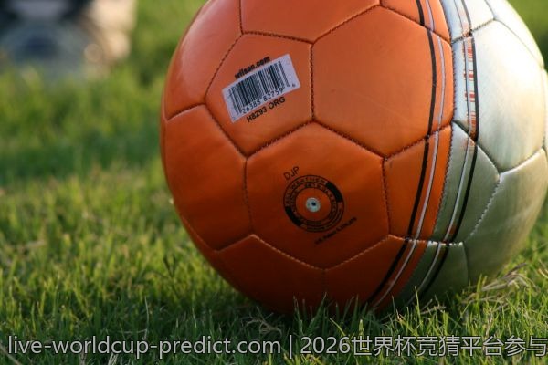 2026世界杯竞猜平台参与技巧,拿下大奖的秘诀