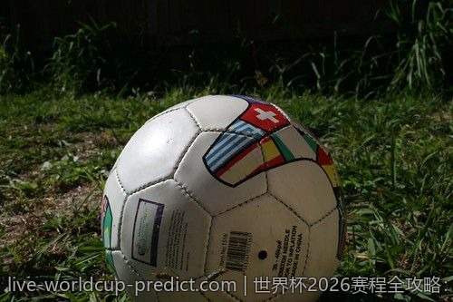 2026年世界杯哪场比赛比分最高,值得回顾!