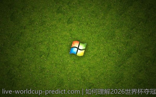 如何理解2026世界杯夺冠数据热度:新手必看攻略