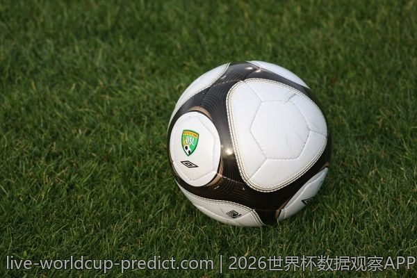2026世界杯数据观察APP下载及使用注意事项揭秘