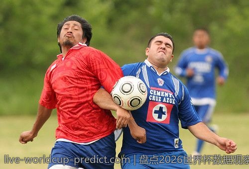 盘点2026世界杯数据观察APP的各类特色功能
